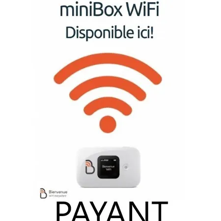 Duplex Renove Pour 4 A Saint-lary Pres Des Pistes Et Commodites - Fr-1-296-300 * サン・ラリー・スラン